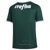 Maglia ufficiale Palmeiras Casa 2022-23 per Uomo